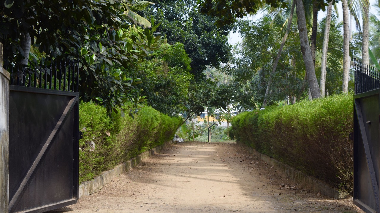 Photo of Outdoor in Neyyattinkara