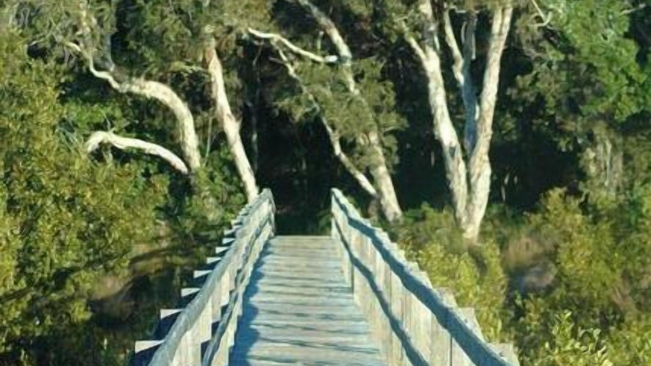 Photo of Others in Hyland Park