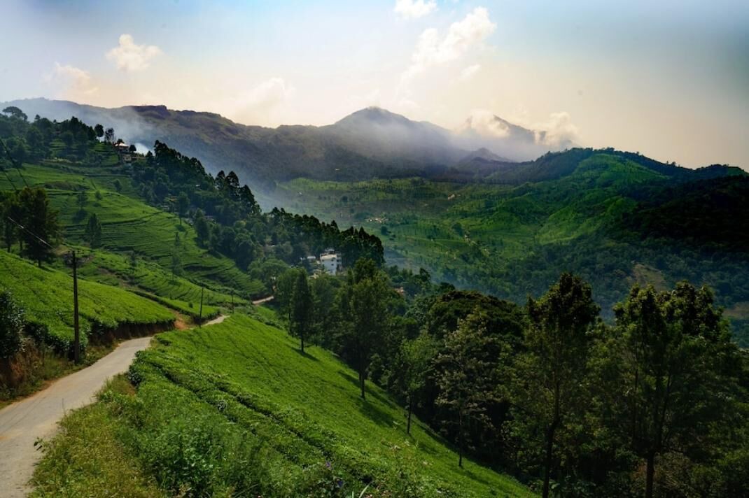 Photo of Outdoor in Aadit