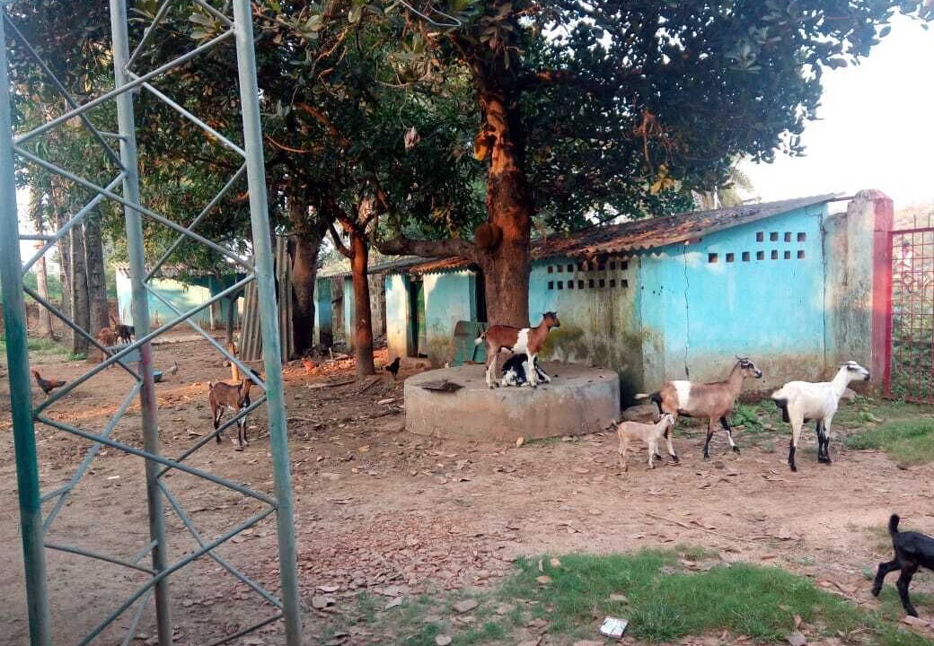 Photo of Outdoor in Dantewara