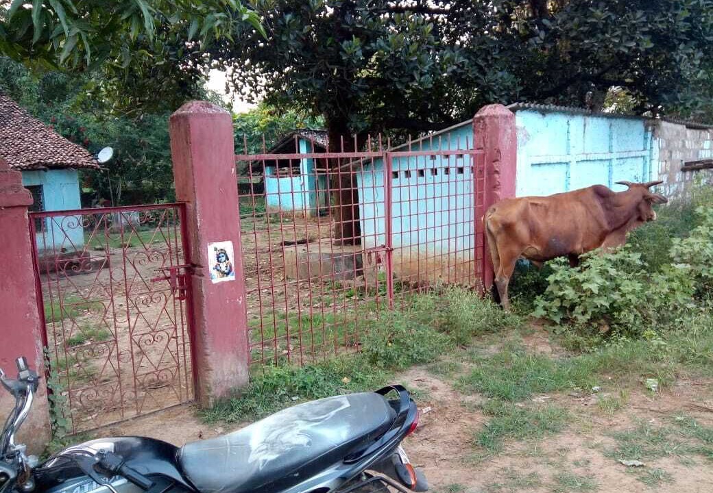Photo of Outdoor in Dantewara