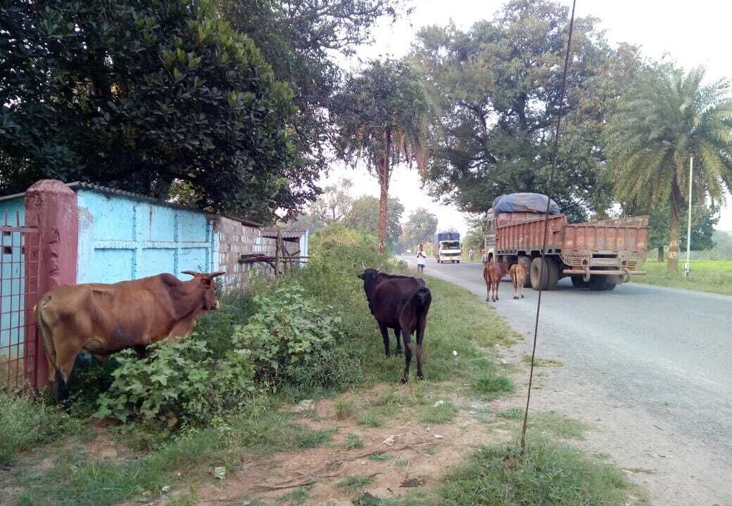 Photo of Outdoor in Dantewara