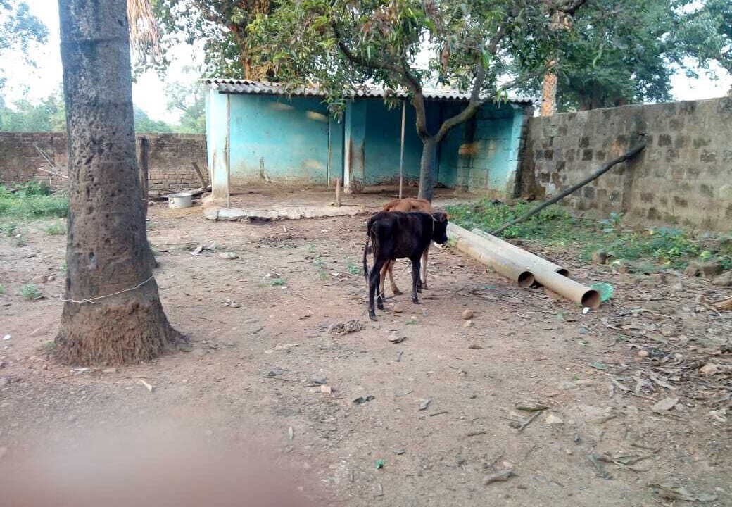 Photo of Others in Dantewara