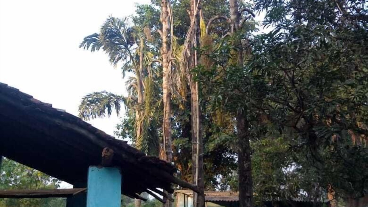 Photo of Outdoor in Dantewara
