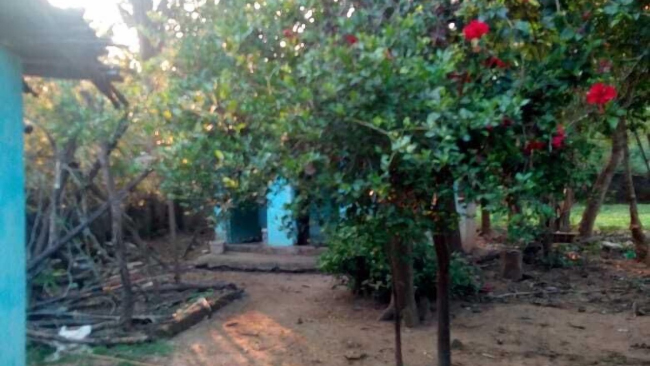 Photo of Outdoor in Dantewara