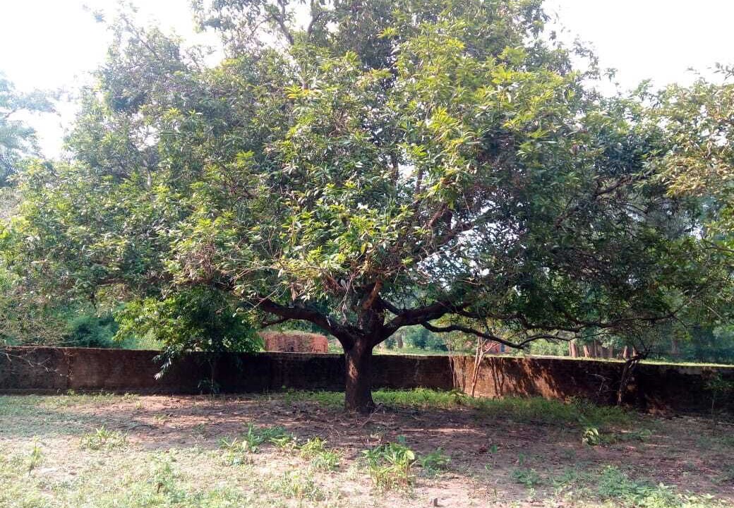 Photo of Outdoor in Dantewara