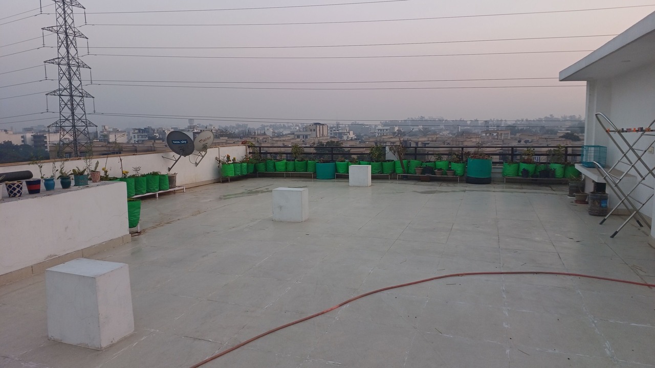 Photo of Patio Balcony in Faridabad