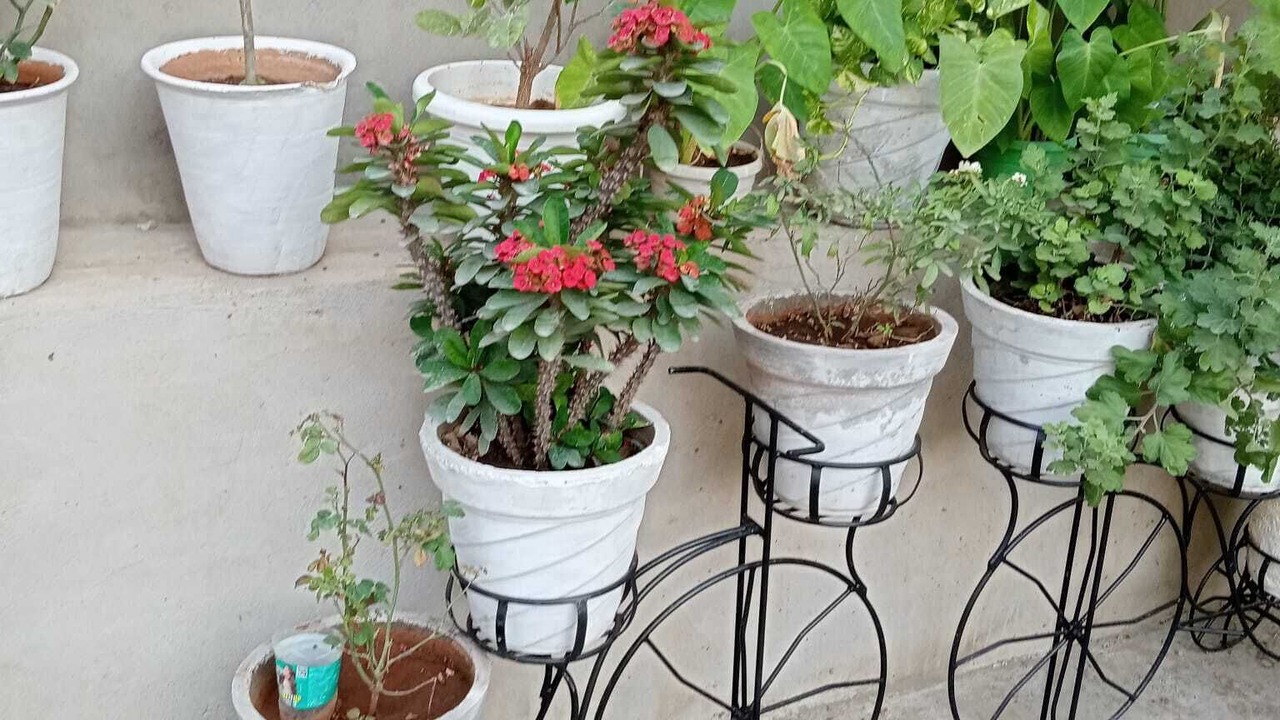Photo of Outdoor in Vaishali Nagar