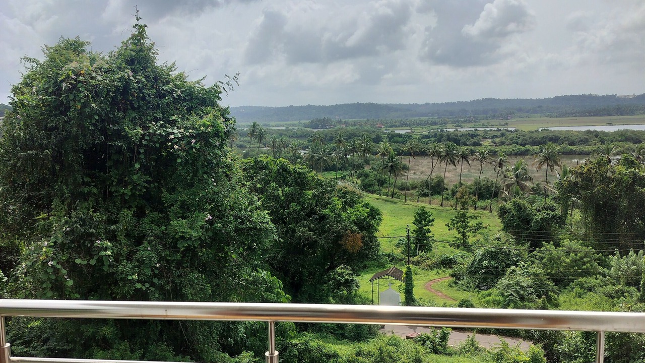 Photo of Outdoor in Curca