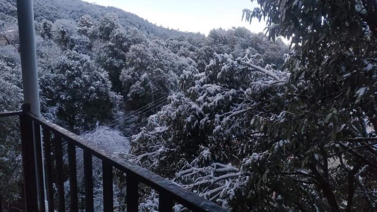 Photo of Outdoor in Banikhet