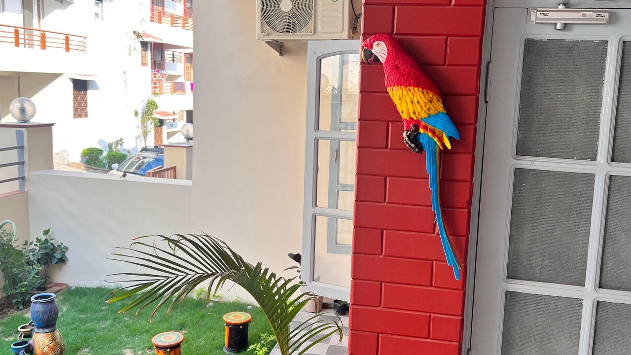 Photo of Outdoor in Rishikesh