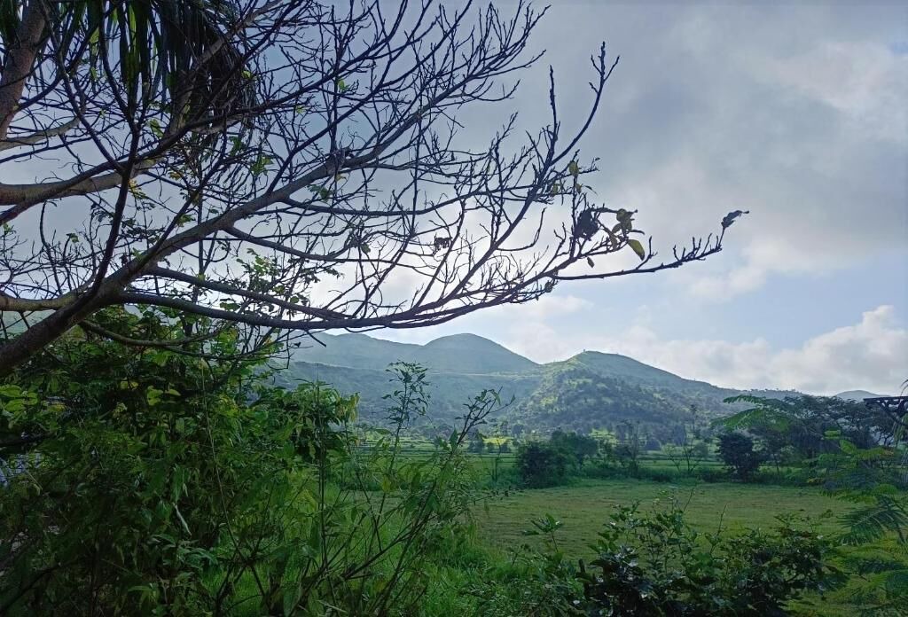 Photo of Others in Igatpuri
