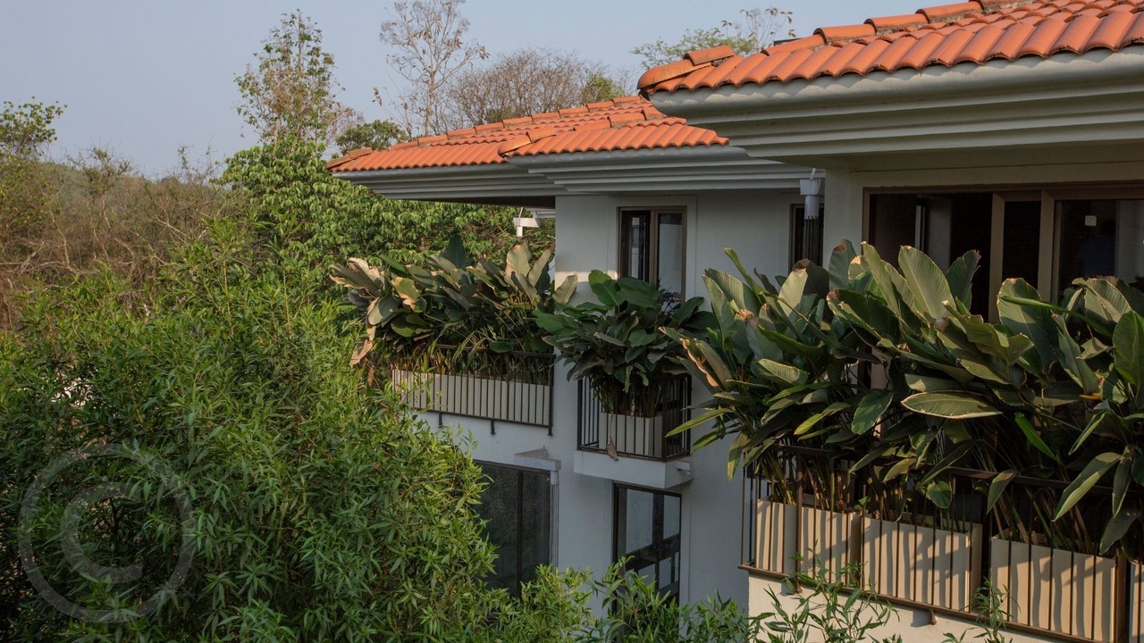 Photo of Outdoor in Siolim