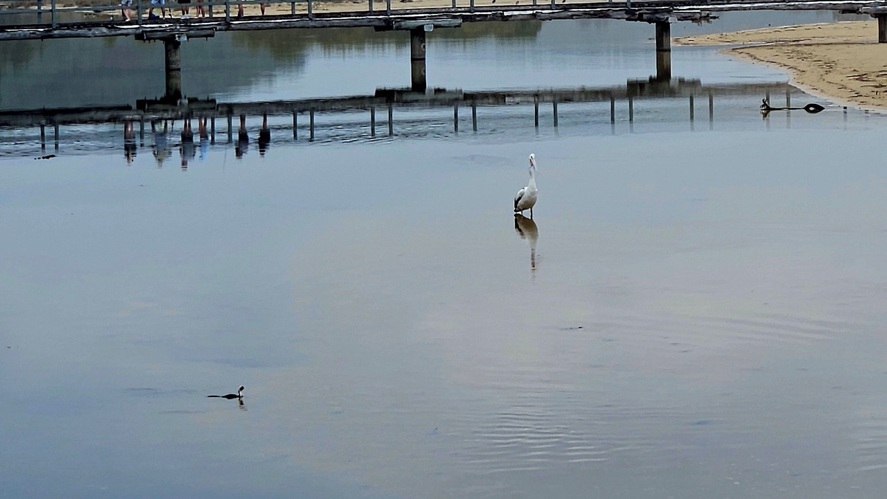 Photo of Others in Dalmeny