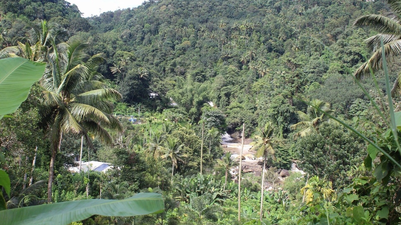 Photo of Others in Devikolam