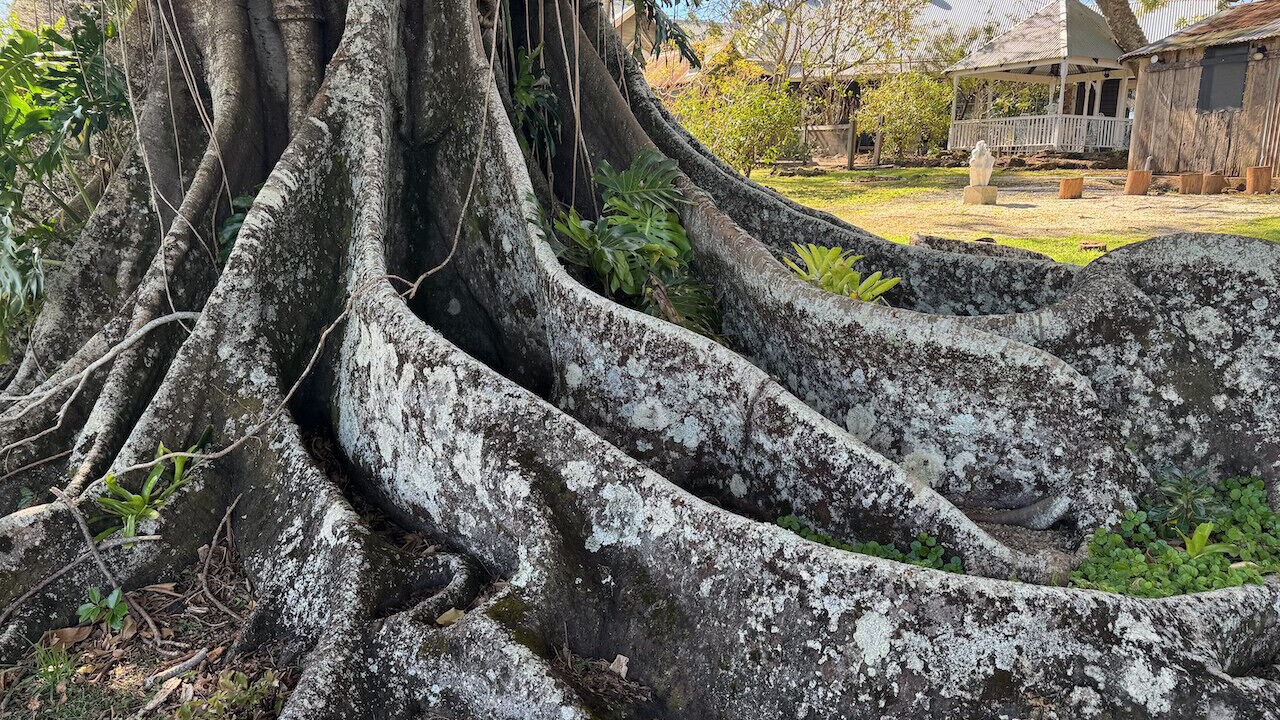 Photo of Outdoor in Ewingsdale