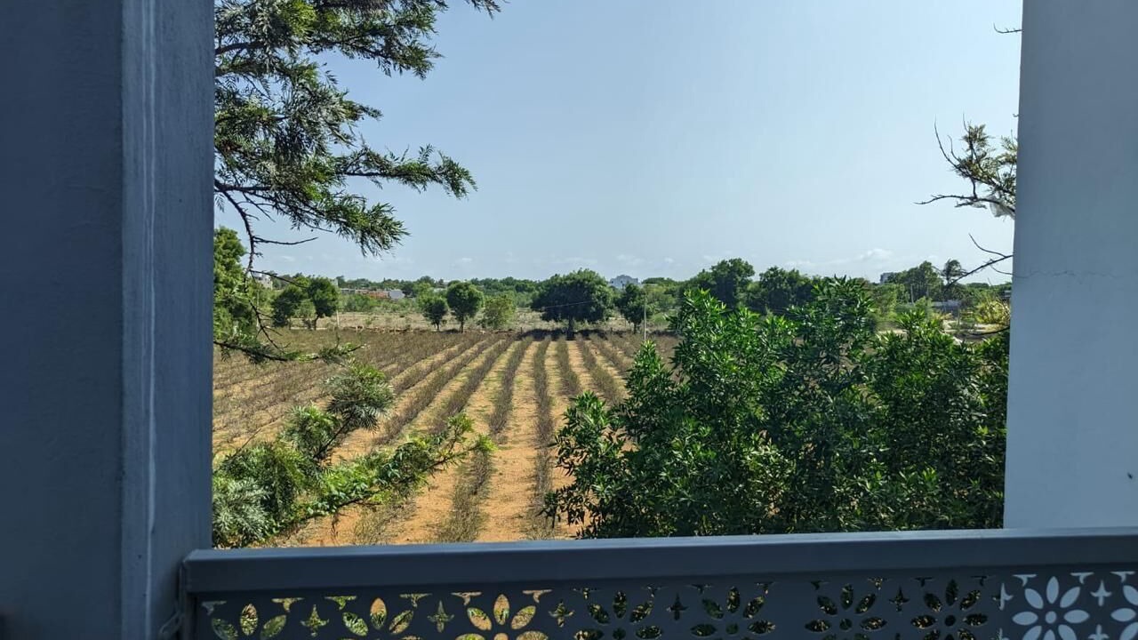 Photo of Outdoor in Chevella