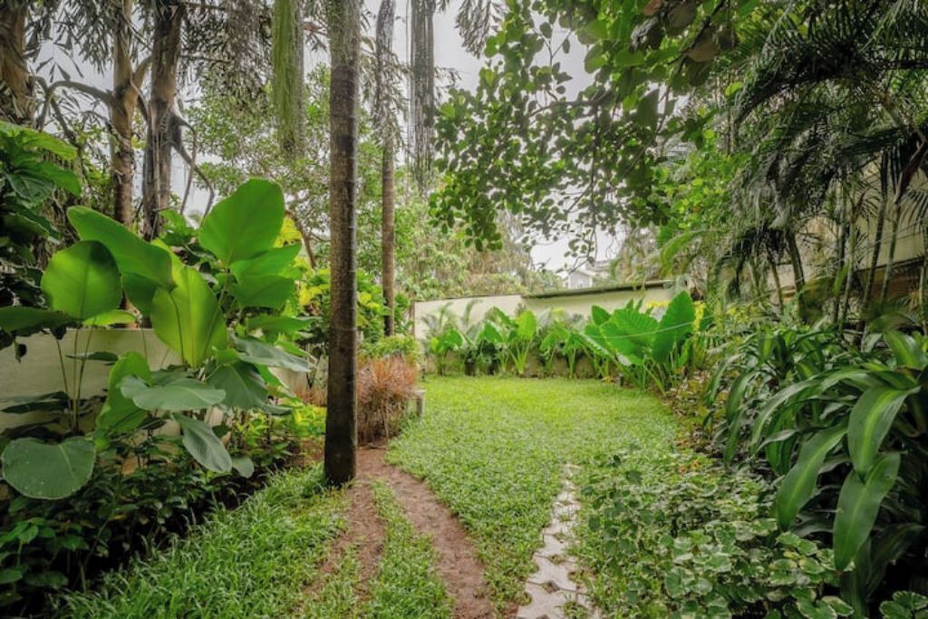 Photo of Outdoor in Siolim