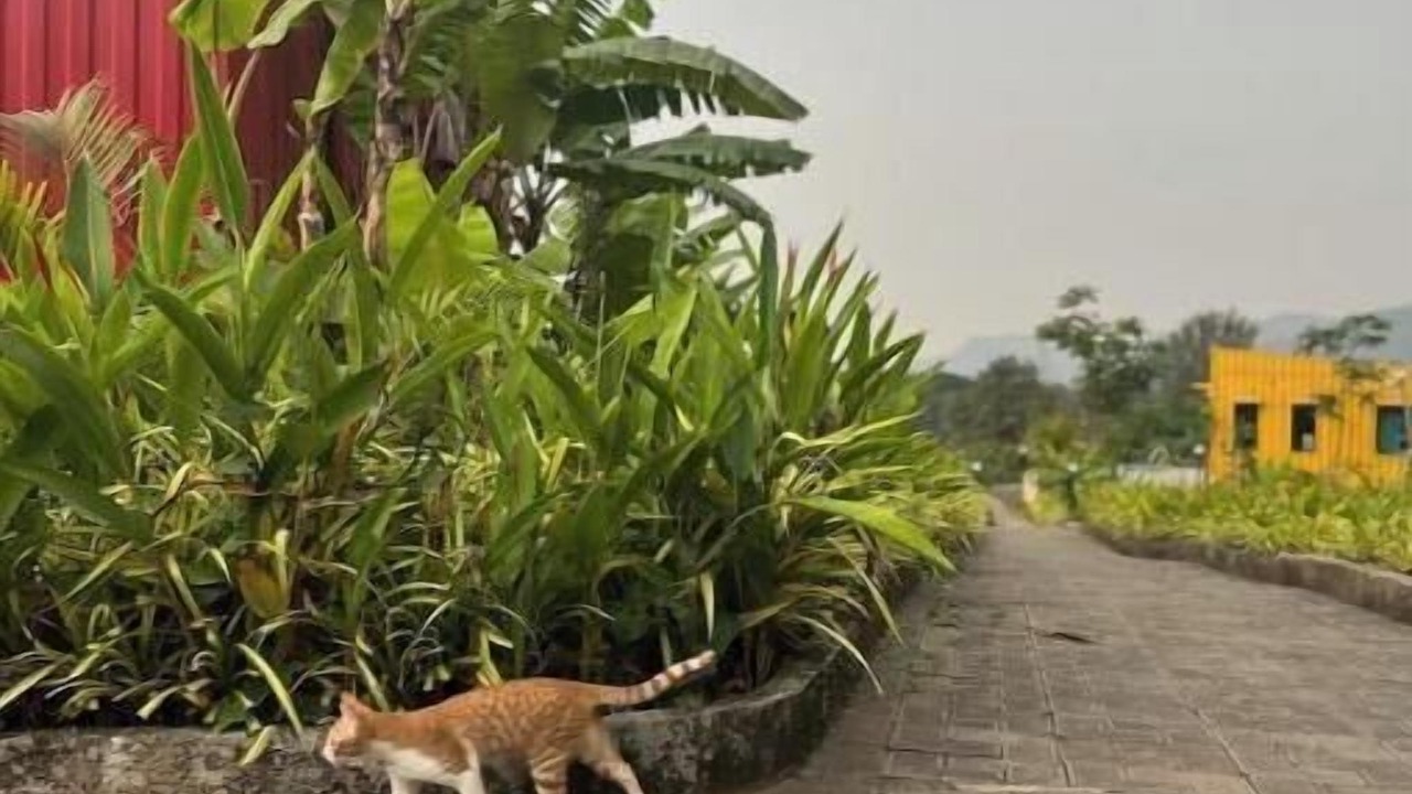 Photo of Outdoor in Wadgaon