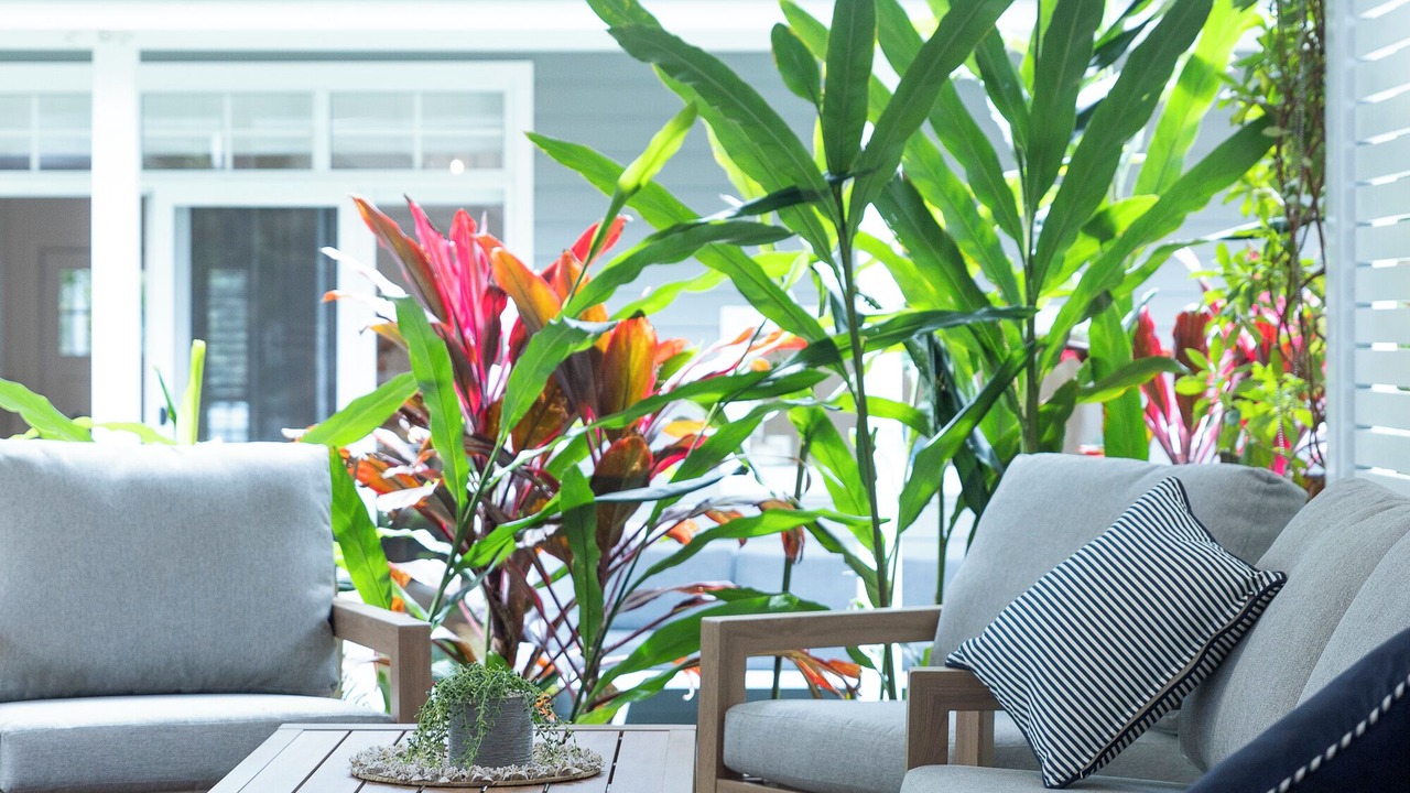Photo of Outdoor in Pearl Beach