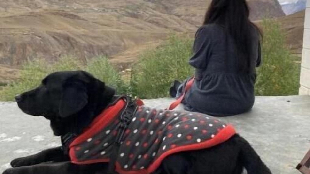 Photo of Others in Spiti