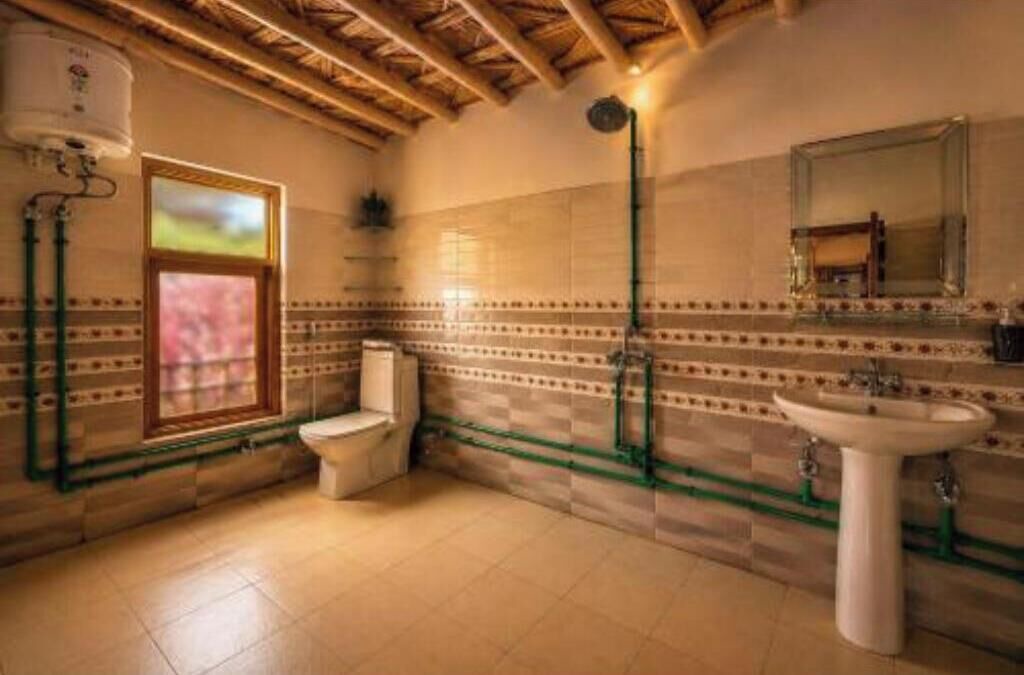 Photo of Bathroom in Spiti