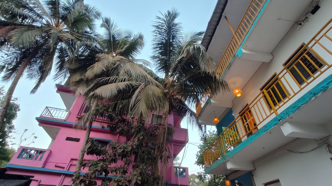 Photo of Outdoor in Arambol