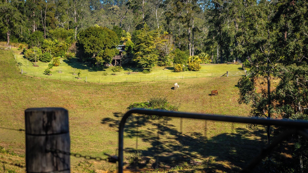 Photo of Outdoor in Bellingen