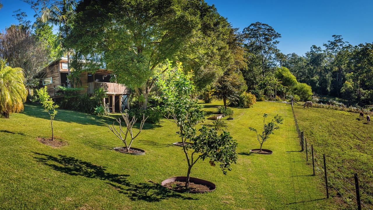 Photo of Outdoor in Bellingen