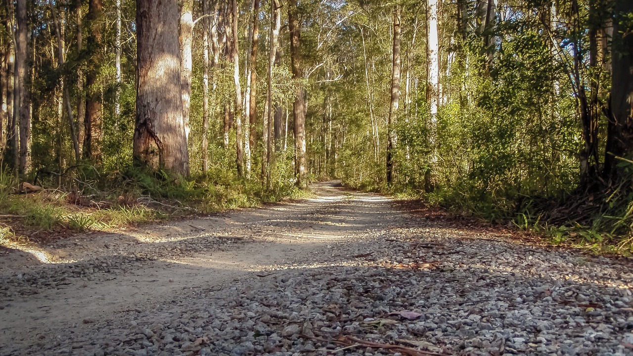 Photo of Others in Bellingen