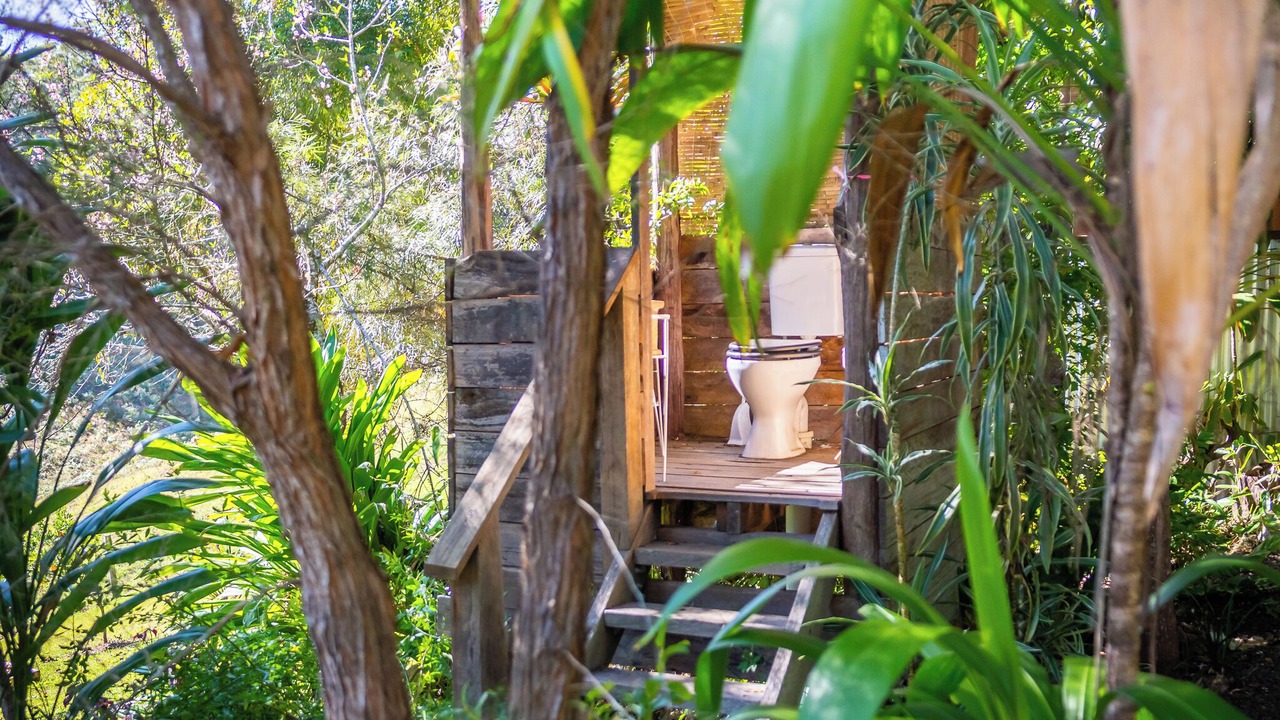 Photo of Outdoor in Bellingen