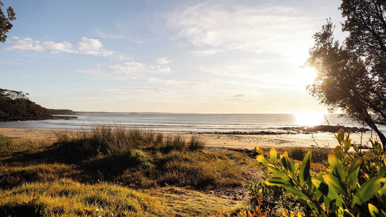Photo of Others in Bawley Point