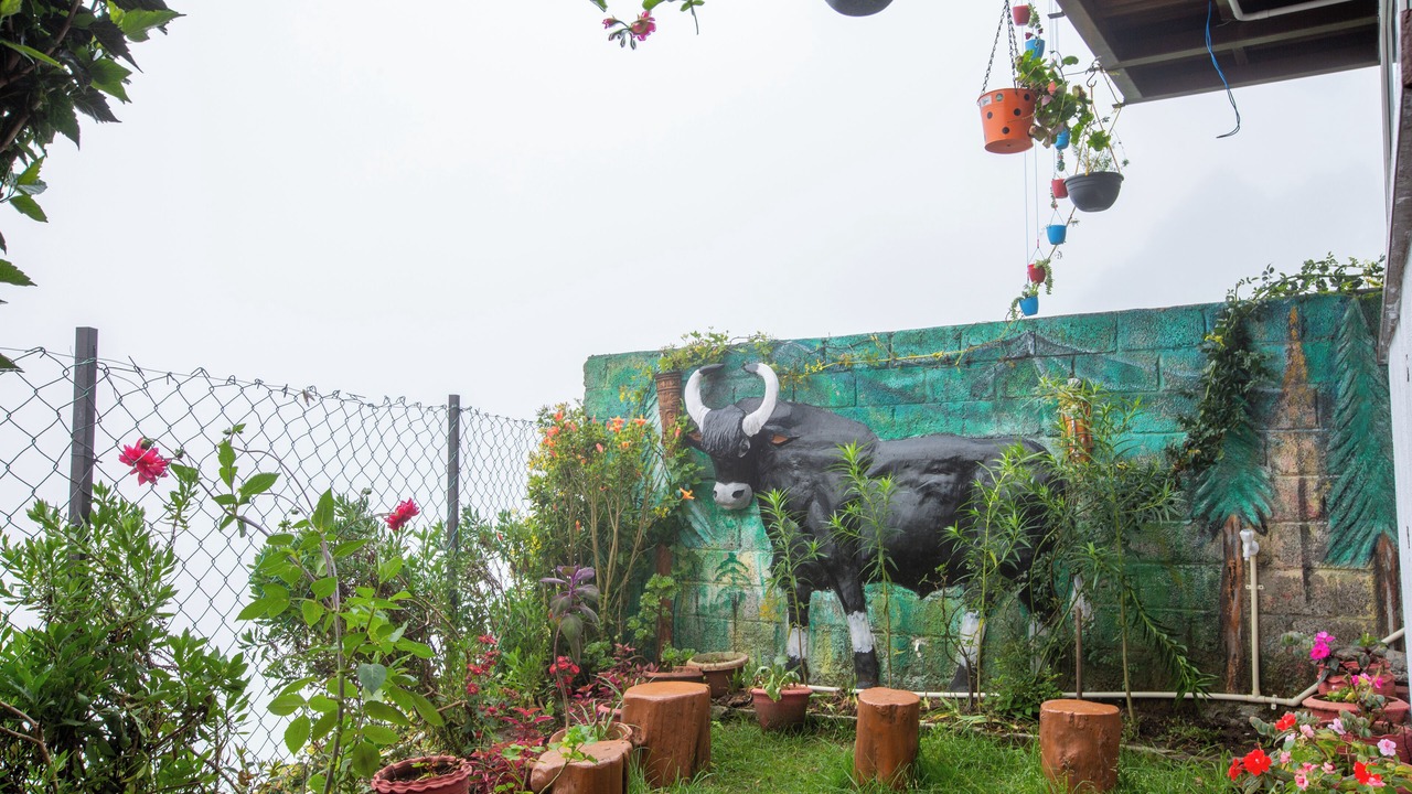 Photo of Outdoor in Kodaikanal