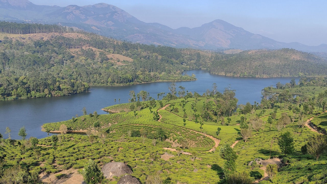 Photo of Others in Devikolam