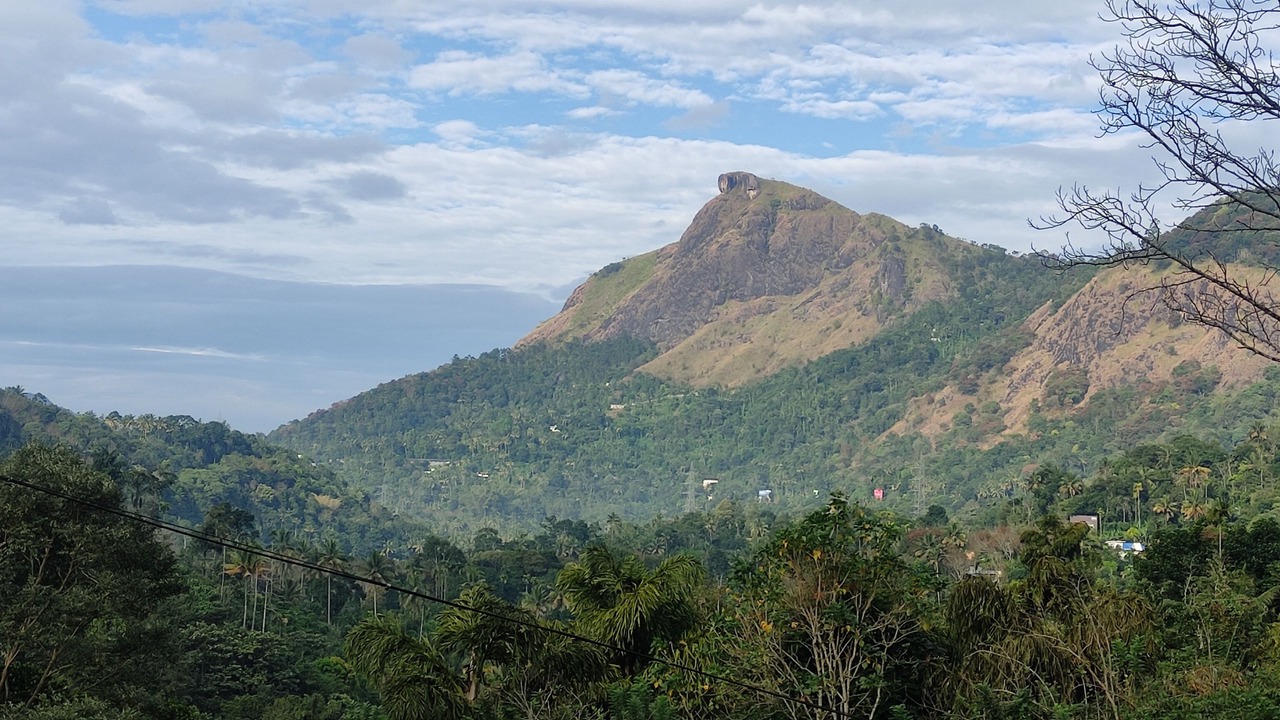 Photo of Outdoor in Devikolam