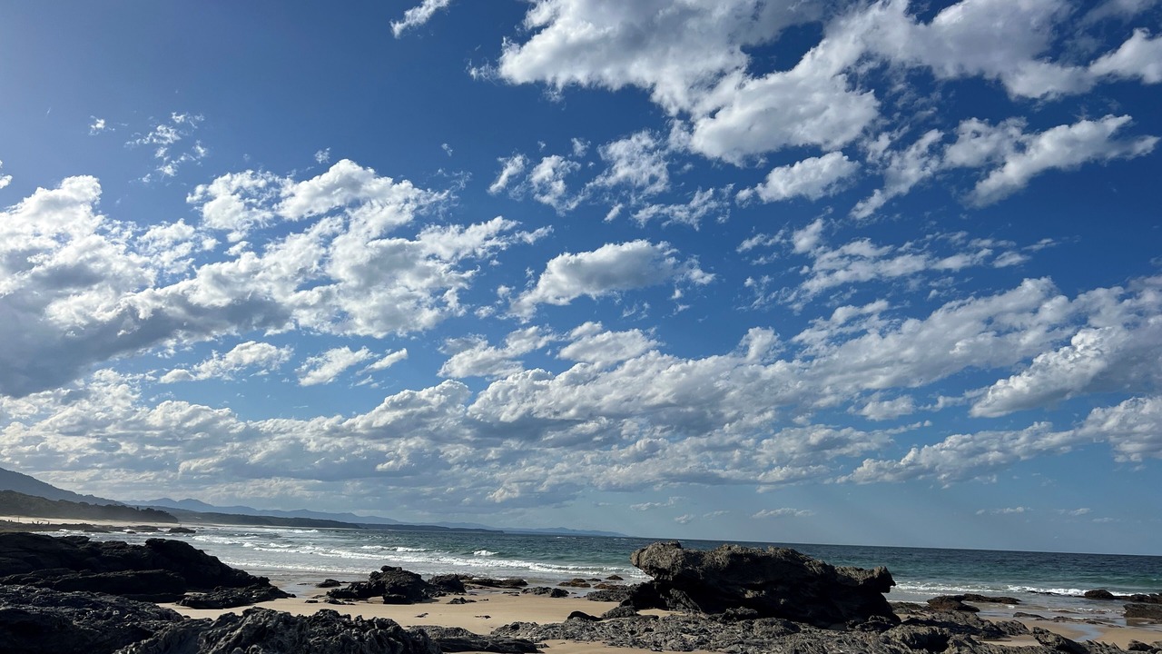Photo of Others in Nambucca Heads