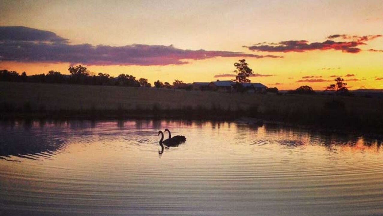 Photo of Others in Lovedale