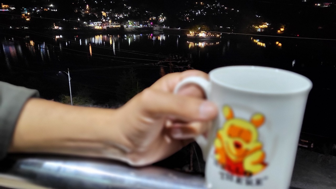 Photo of Others in Bhimtal