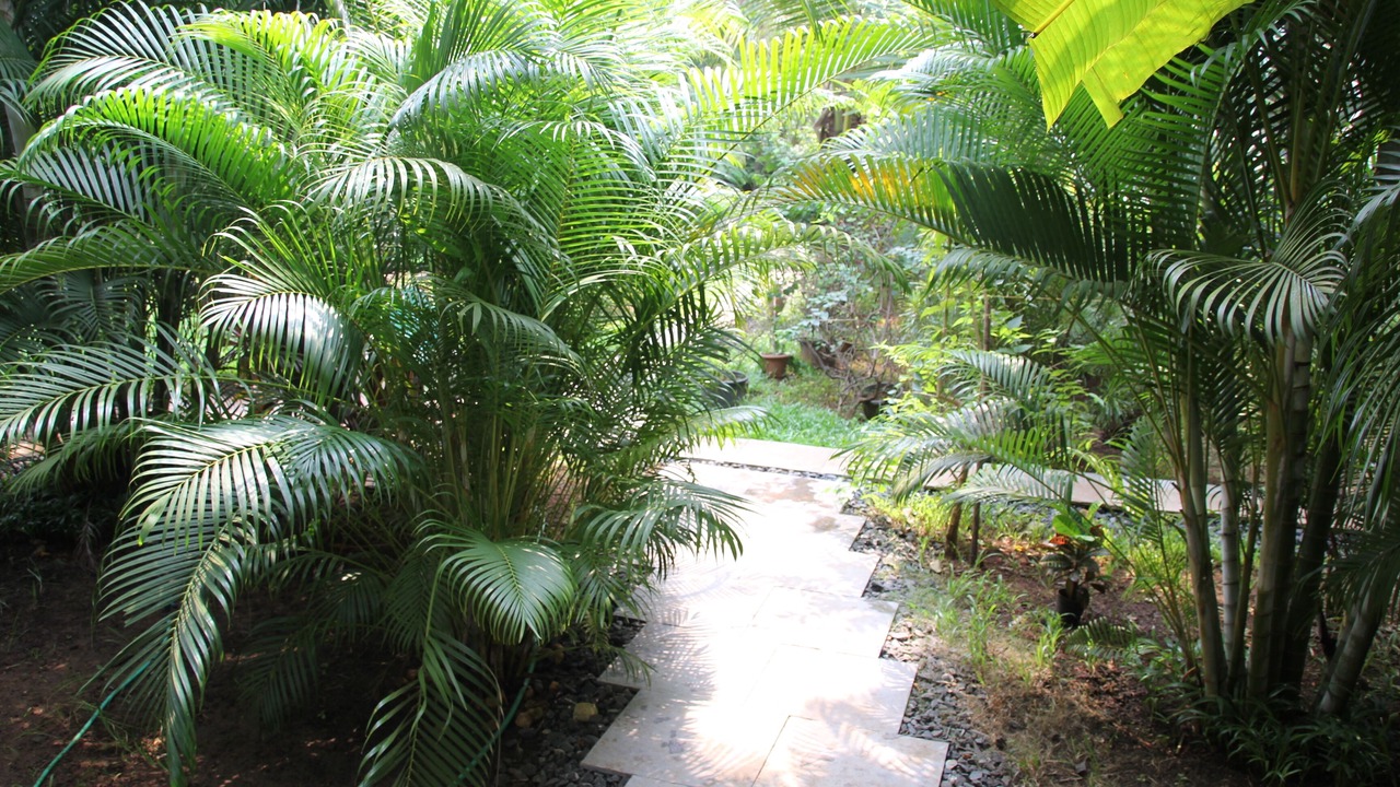 Photo of Outdoor in Morjim