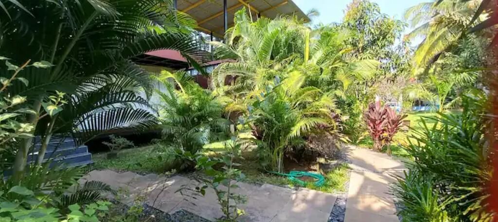 Photo of Outdoor in Morjim