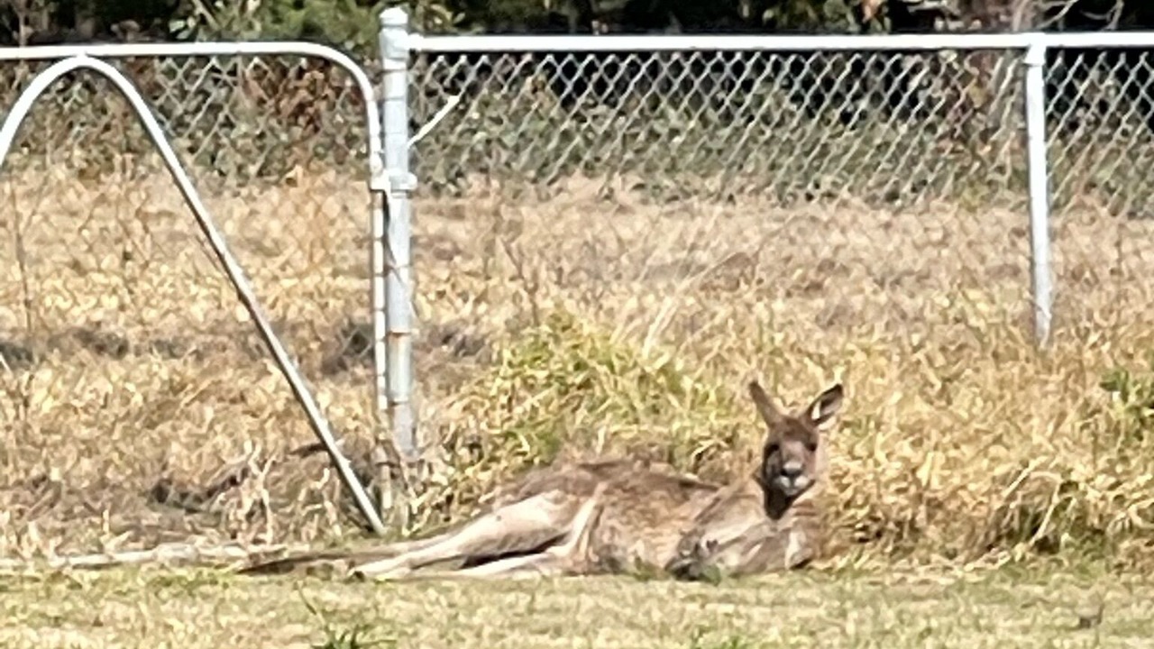 Photo of Outdoor in Sawyers Gully