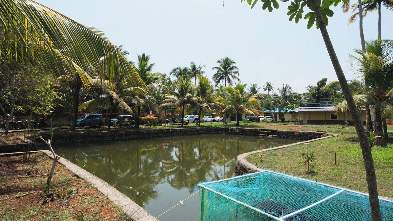 Photo of Outdoor in Andhakaranazhy