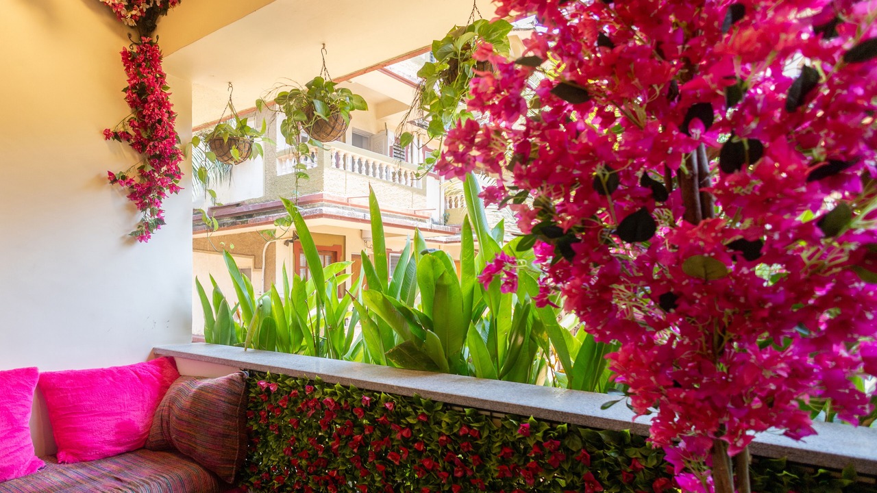 Photo of Outdoor in Candolim