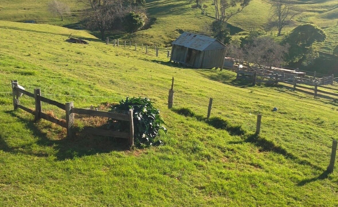 Photo of Outdoor in Bald Hills