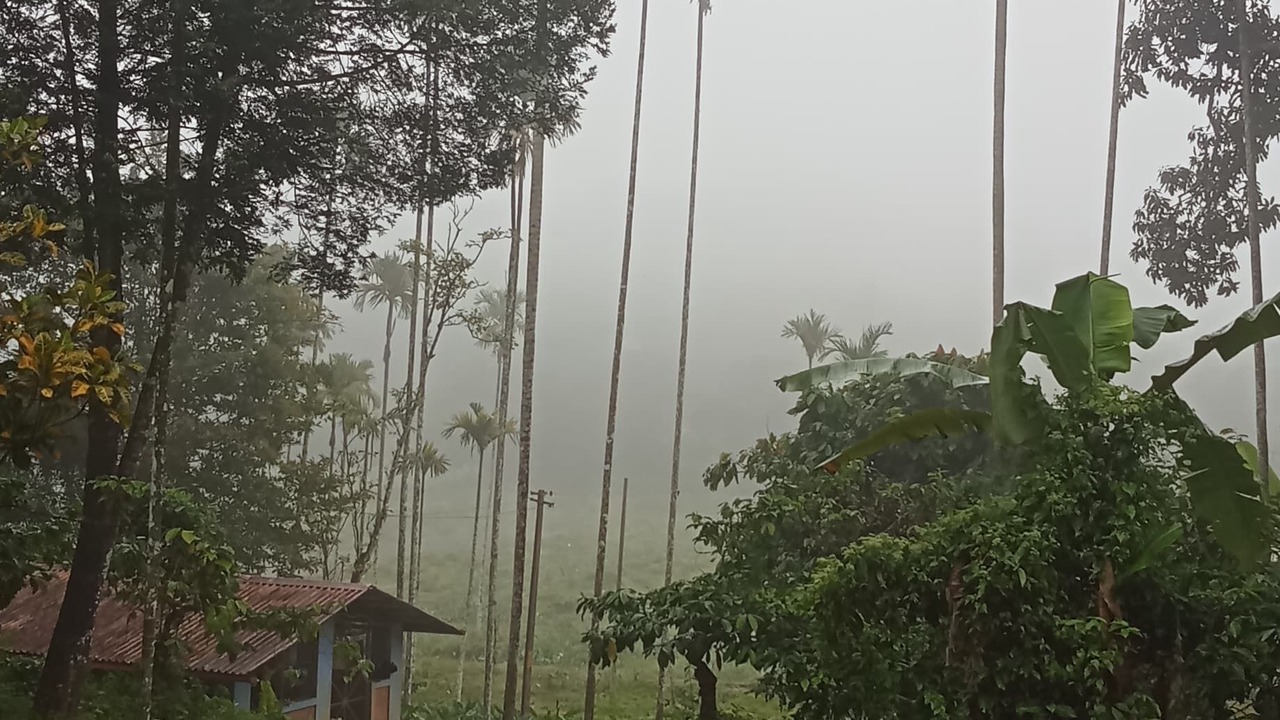 Photo of Outdoor in Mananthavady