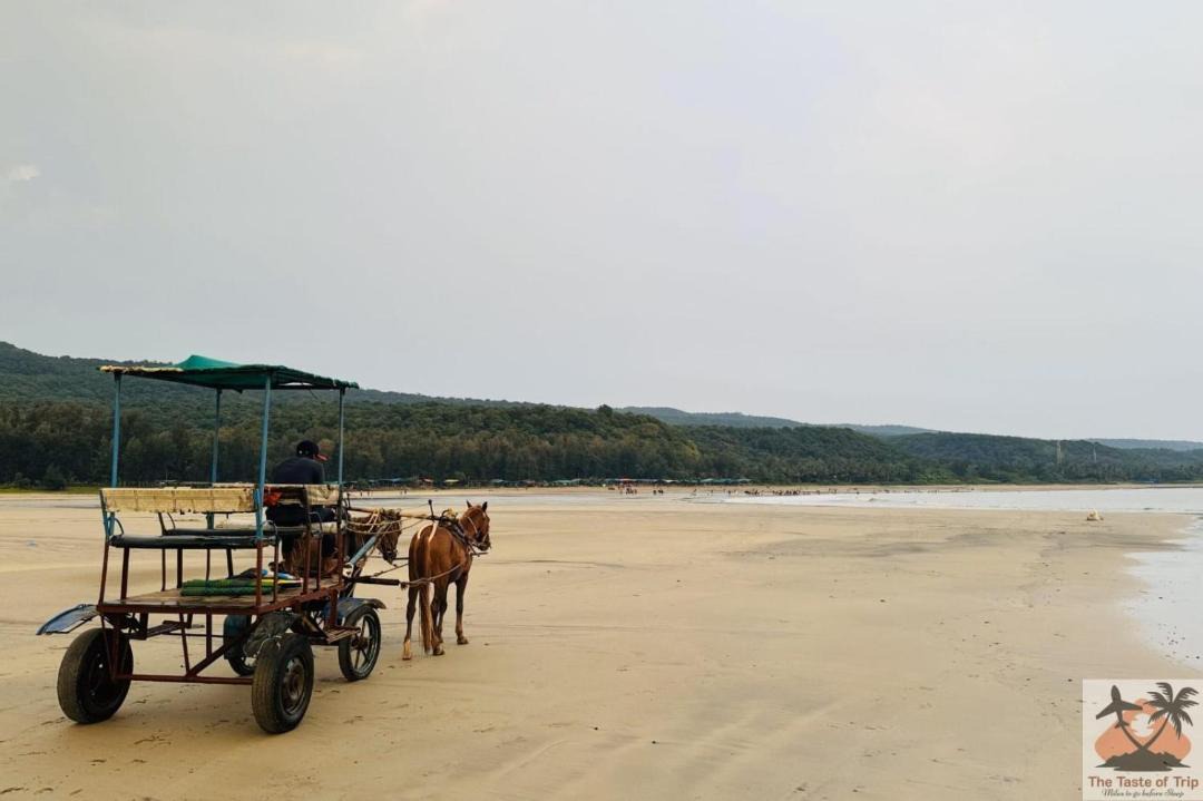 Photo of Others in Murud