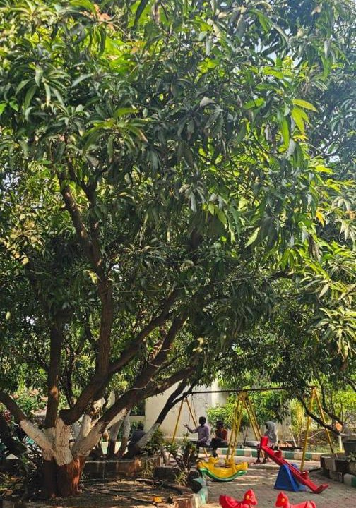 Photo of Outdoor in Talala