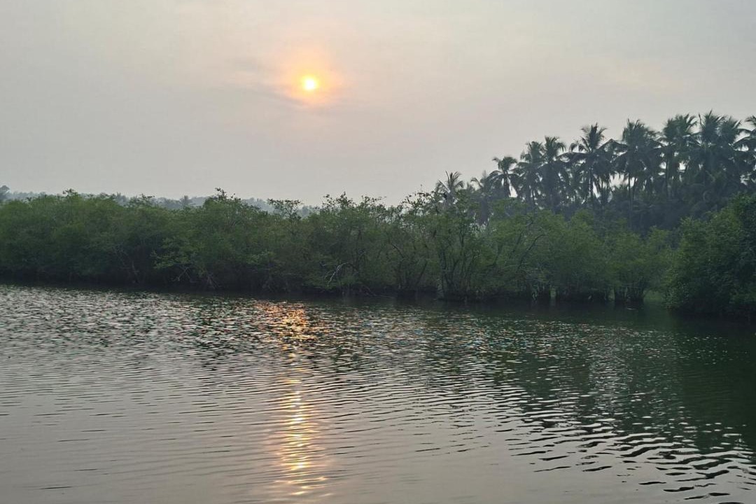 Photo of Others in Kannur