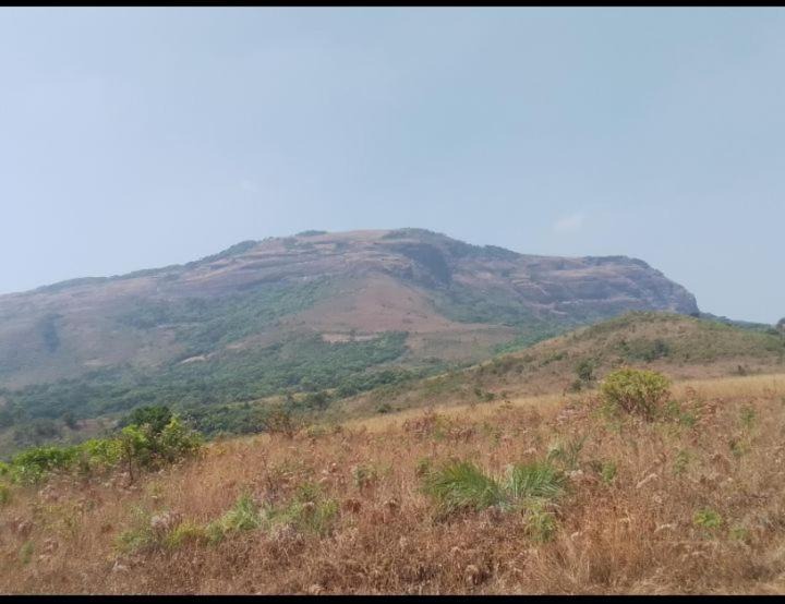 Photo of Others in Madikeri