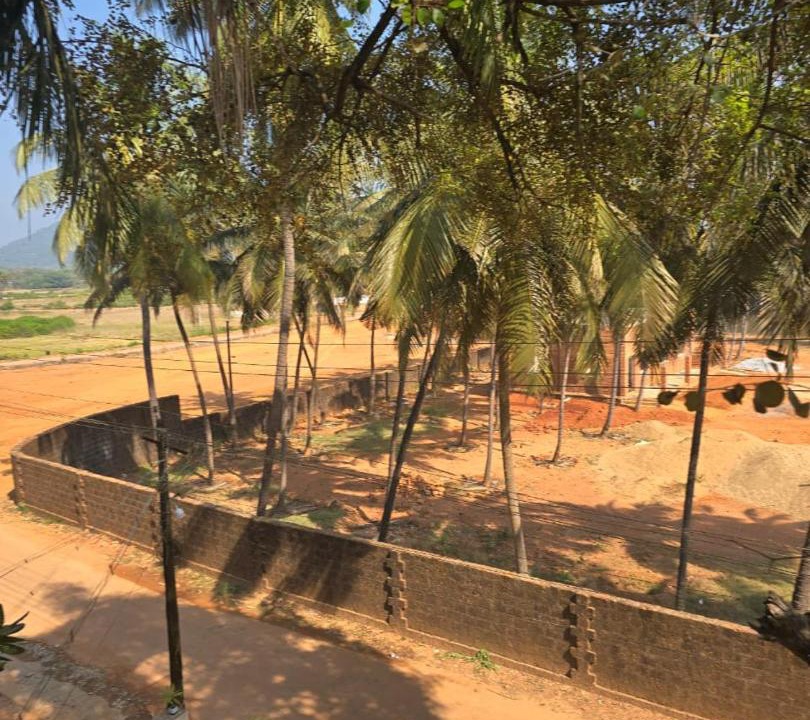 Photo of Others in Murudeshwara